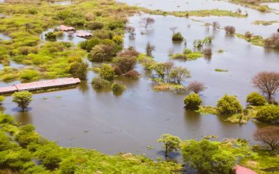 Kenya: Free Press Key to Battling Climate Misinformation